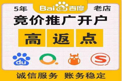 竞价广告赚钱秘籍：百度实战案例